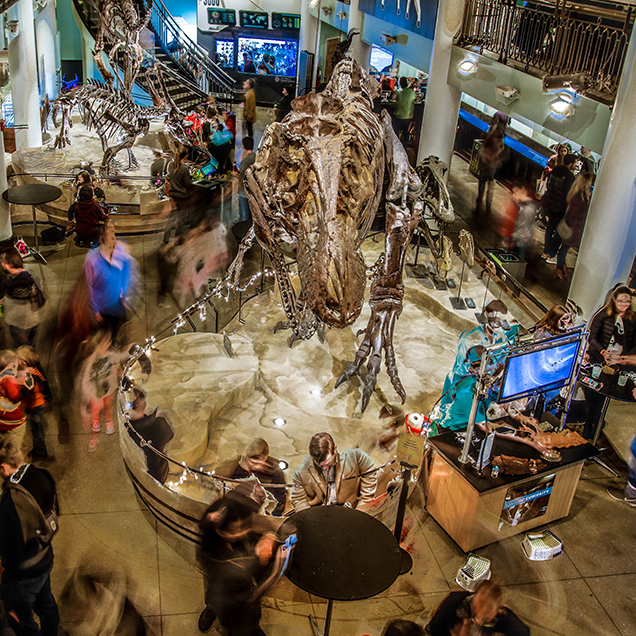 entomologist talk with museum visitors during Bug Fest